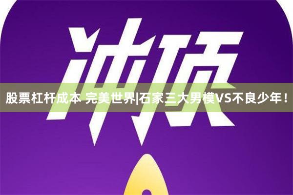 股票杠杆成本 完美世界|石家三大男模VS不良少年！