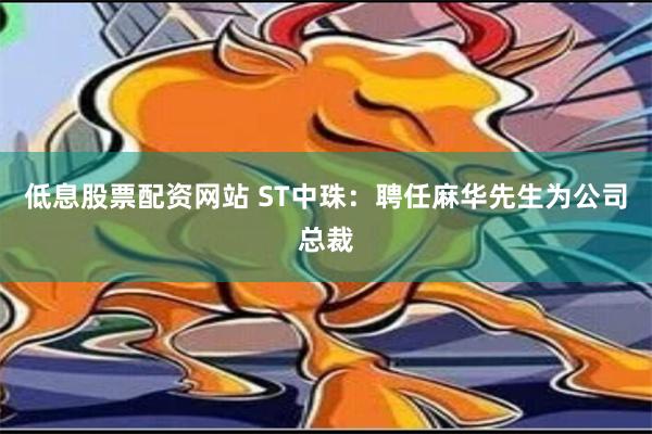 低息股票配资网站 ST中珠：聘任麻华先生为公司总裁