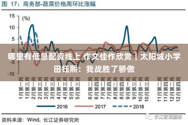 哪里有低息配资线上 作文佳作欣赏｜太阳城小学田钰熙：我战胜了骄傲