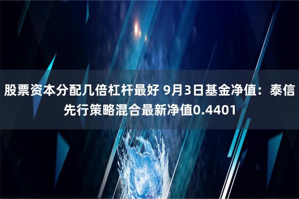 股票资本分配几倍杠杆最好 9月3日基金净值：泰信先行策略混合最新净值0.4401