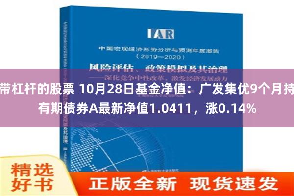 带杠杆的股票 10月28日基金净值：广发集优9个月持有期债券A最新净值1.0411，涨0.14%