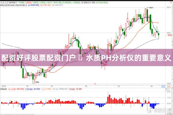 配资好评股票配资门户 ‌水质PH分析仪的重要意义