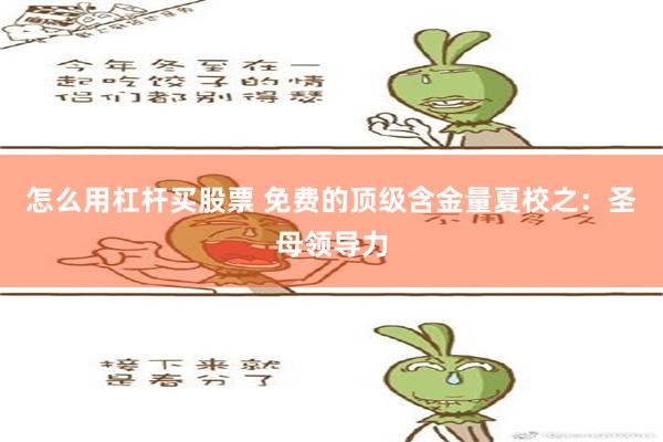 怎么用杠杆买股票 免费的顶级含金量夏校之：圣母领导力