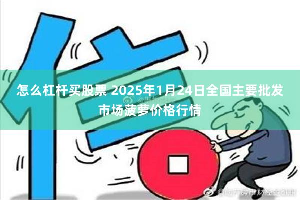 怎么杠杆买股票 2025年1月24日全国主要批发市场菠萝价格行情