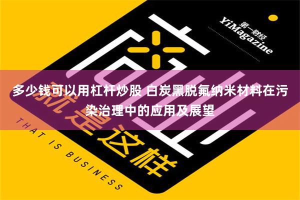 多少钱可以用杠杆炒股 白炭黑脱氟纳米材料在污染治理中的应用及展望